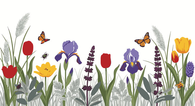 Floral Border with Red and Yellow Tulips, Purple Irises, Lavender, and Feather Grass Illustration Featuring Monarch Butterflies and Beetles on a Clean White Background for Design.