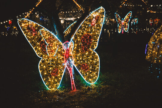 Glowing butterfly light sculptures shine brightly in a dark garden at festive night celebration.
