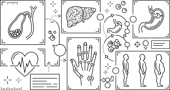 Metabolic health vector interface set with fatty liver gallbladder stones heart pulse arthritis joint and body weight index icons for medical infographics