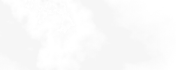 Obraz premium Dynamic ripple halftone mesh pattern with black and white gradient effects perfect for modern abstract vector backgrounds motion graphics or