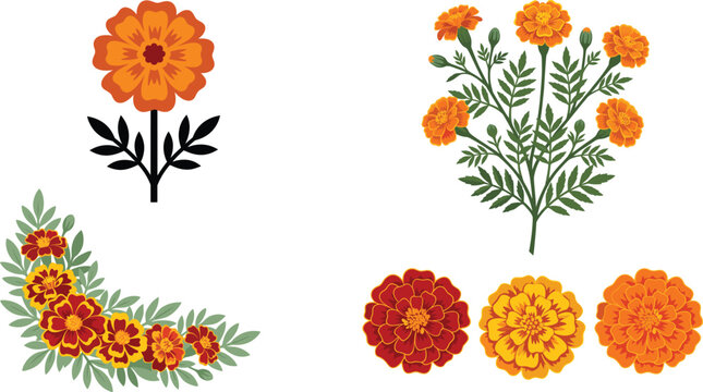 Mexican marigold flowers vector set with orange cempasuchil blossoms festival floral garland and tagetes flower head elements for day of the dead