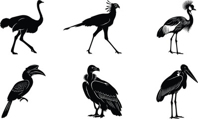 Fototapeta premium Black Silhouette African Bird Icon Set Featuring Ostrich Secretary Bird Crested Crane Hornbill Vulture and Marabou Stork for Safari Wildlife Nature Designs