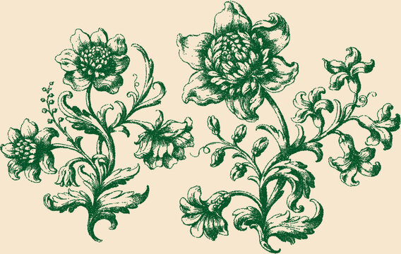 Vintage stipple floral illustration botanical element