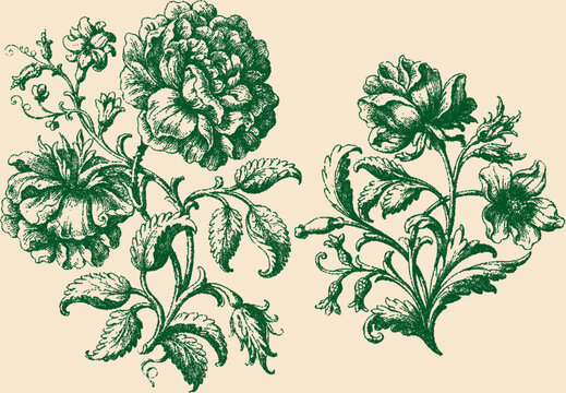 Vintage botanical stipple illustration of flowers and leaves