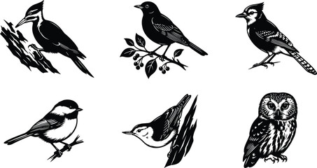 Detailed Woodcut Style Backyard Bird Vector Icon Set Featuring Woodpecker Blue Jay Chickadee Nuthatch Bluebird and Screech Owl on Branches for Nature Designs © Ashik 