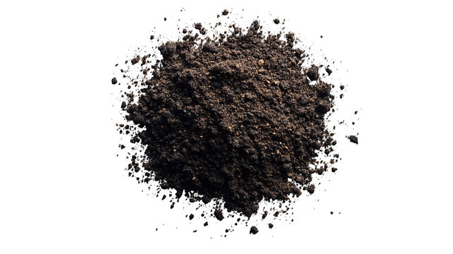 Dark, textured mound of earth against black background, detailed close-up