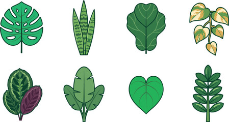 Tropical Leaf Vector Set Featuring Various Houseplant and Botanical Foliage Designs © MstMunmun