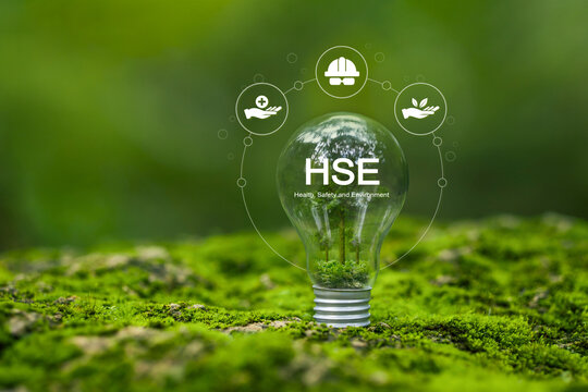 Health, Safety and Environment HSE concept focusing on accident prevention, environmental protection, health and safety for business and organization. Light bulbs on moss in the forest.