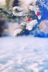 Fototapeta premium Red Christmas bell hangs on a snow-covered branch of a Christmas tree against a festive background of white snow. Christmas tree with decoration under snow