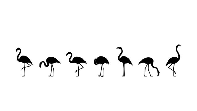 Flamingo Illustration of Seven Birds Standing in a Line, Simple Black Silhouette Style on White Background
