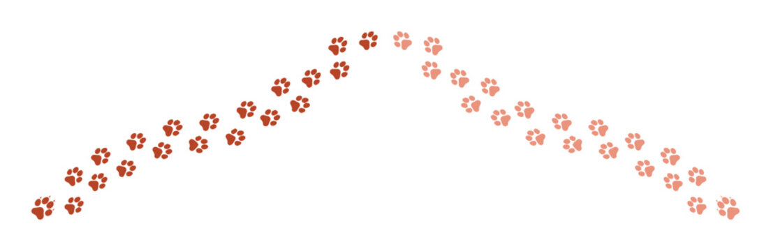 Paw print trail vector, animal footprint path, dog or cat paw prints, pet track design element, brown paw print border for pet care, veterinary, or animal-themed projects