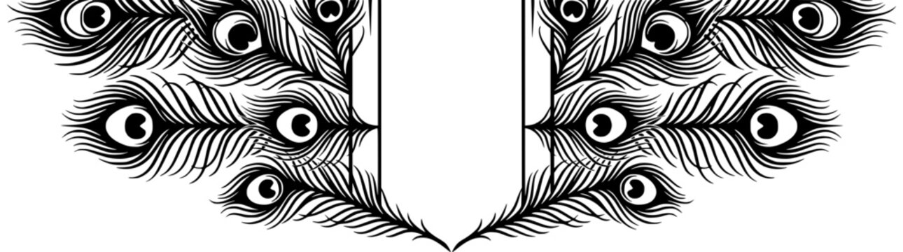 Peacock feather border frame line art