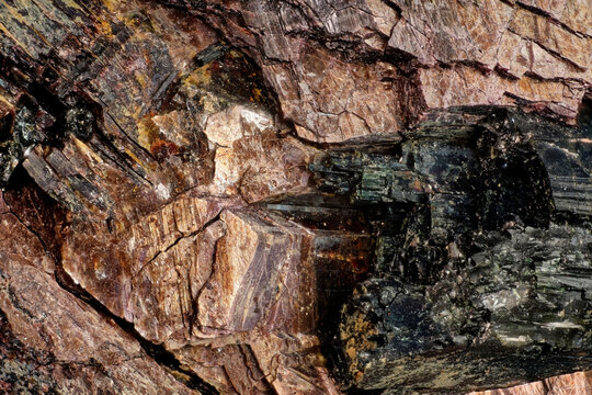 Microscopic view of lamprophyllite and aegirine mineral crystals texture from Khibiny close up of raw alkaline pegmatite geological structure macro photography sample under 5x microscope lens