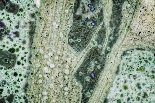 Macro of unique tinguaite rock polished surface from Khibiny forming a microscopic landscape with an island archipelago pattern, 6 mm field of view