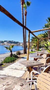 Beachfront cafe or bar with wooden tables and palm trees under blue sky on a sunny day in tropical resort