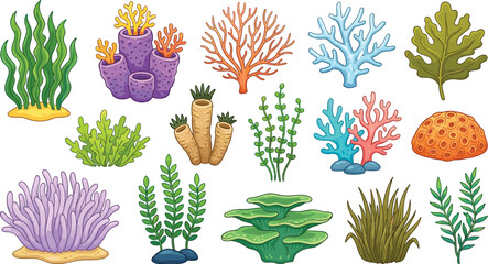 Underwater coral reef elements and marine seaweed set with colorful tropical ocean plant life vectors © Munnat