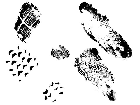 A collection of grunge black ink footprint textures showing sneaker shoe sole patterns and tread marks on a clean white background. Perfect for crime scene, forensic investigation, or athletic design 