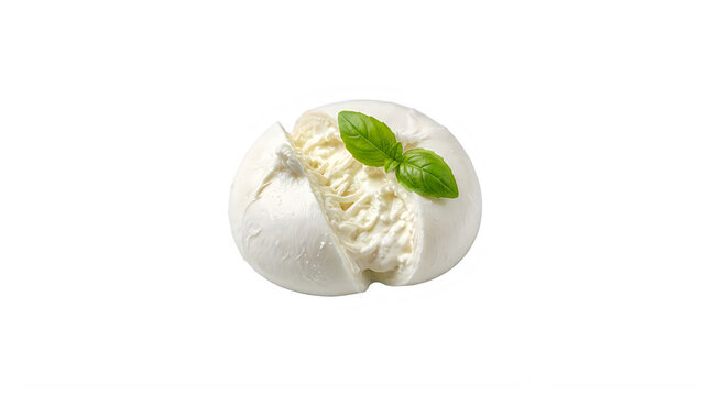 Fresh creamy burrata cheese ball on transparent background