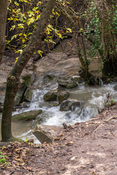 Part of the Nahal Hashofet stream at Ramat Menashe Forest part of the Carmel mountain range in Israel

