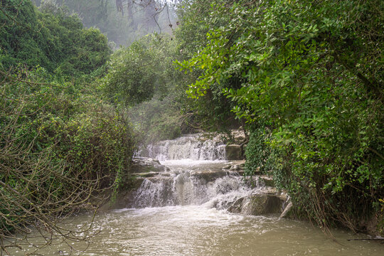 Waterfall at Nahal Hashofet at Ramat Menashe Forest part of the Carmel mountain range in Israel
