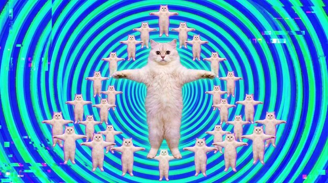 Surreal T-pose white cat floating in a psychedelic blue and green hypnotic vortex background, abstract digital art concept for trippy internet meme culture