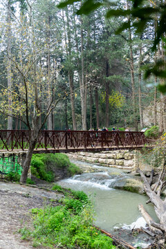 The new new bridge over Nahal Hashofet stream at Ramat Menashe Forest part of the Carmel mountain range in Israel
