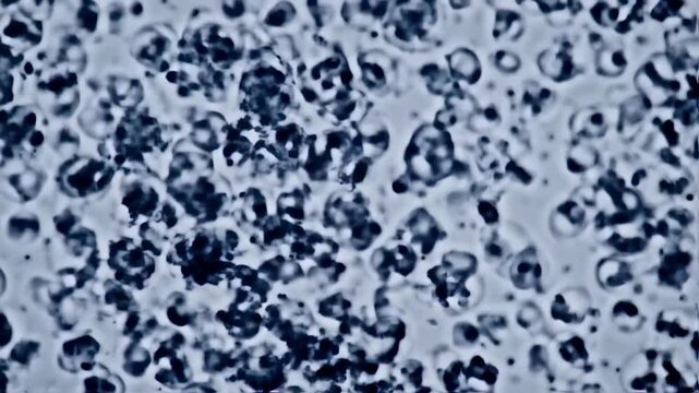 Microscopic abstract pattern