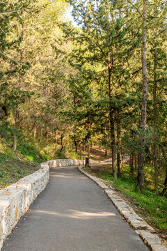 Trail at Nahal Hashofet at Ramat Menashe Forest part of the Carmel mountain range in Israel
