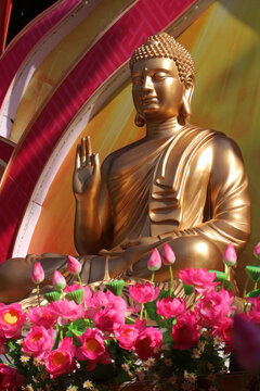 Golden Buddha statue in meditation with blurred artificial lotus flowers in the foreground.