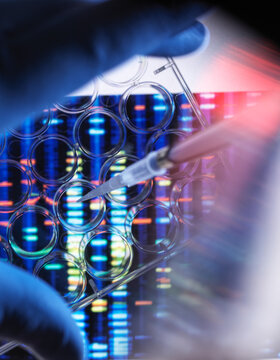 Scientist pipetting sample in multi well plate for DNA analysis with genetic results in background