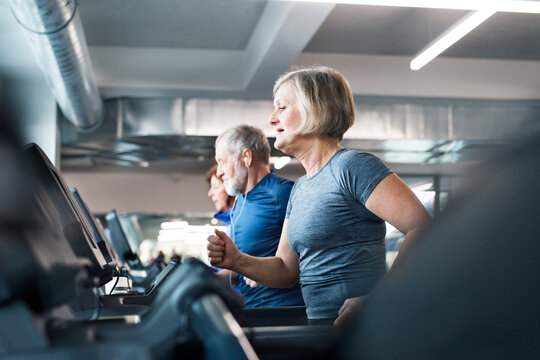 Group of fit seniors on treadmills working out in gym