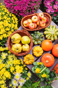 Autumn harvest of pumpkin, apple, quince and flower on a balcony