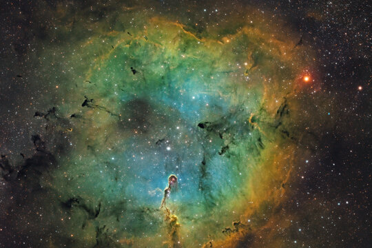 Colorful Elephant's Trunk Nebula IC 1396 in the night sky