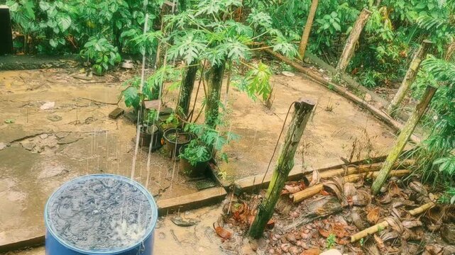Muddy rural ground after tropical rain, white bucket with particles, surrounded by green plants and weathered wood, natural wet outdoor scene
