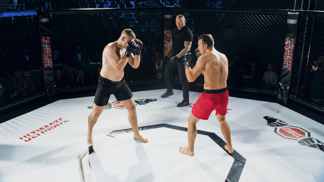 MMA Fighters Fight Trade Strikes in a Cage Fight, Circling and Testing Range as the Referee Monitors the Action. Two Athletes Push a Competitive Pace for a Realistic Documentary Sport Moment 