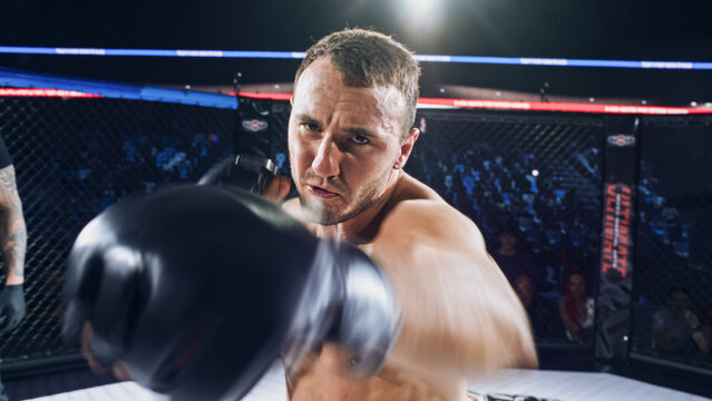 MMA Fighters Fight Trade Blows in a Cage Fight as One Athlete Drives a Straight Punch Toward the Camera. 