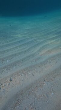 Underwater Sand Ripples Under Blue Water