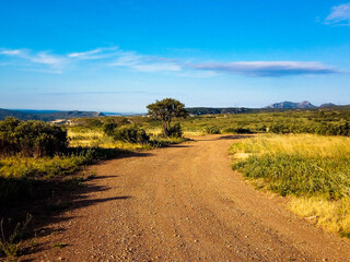 Fototapeta premium Magnificent landscape with a dirt road for hikers or mountain bikers that crosses the nature of Provence at the Orgon plateau