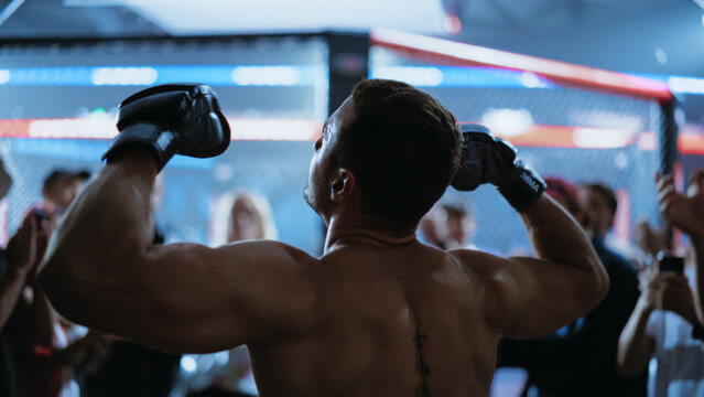 MMA Fighters Enter the Cage for a Fight as a Fighter Lifts His Gloves to the Crowd. a Tense, Championship Title Show in Martial Arts Action
