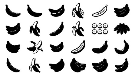 Banana collection black and white illustrations for tropical designs © MdMukul