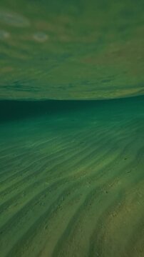 Slow Motion of Underwater Sand Ripples and Surface