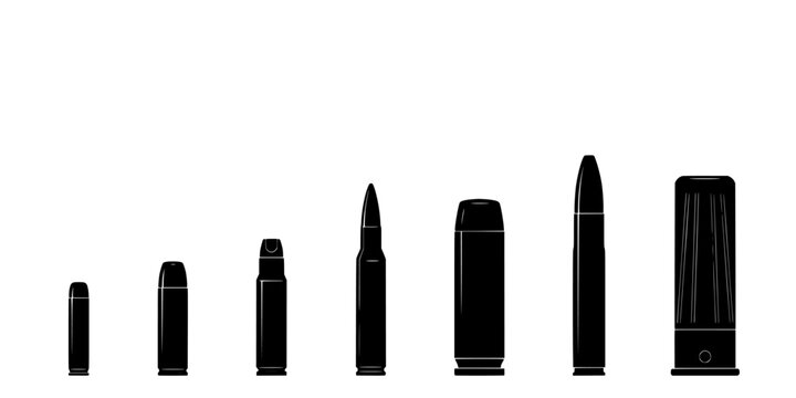 Bullets and Shell Casings Arranged in a Row, Showcasing Different Sizes and Styles Featuring Bullet, Casing, Ammunition