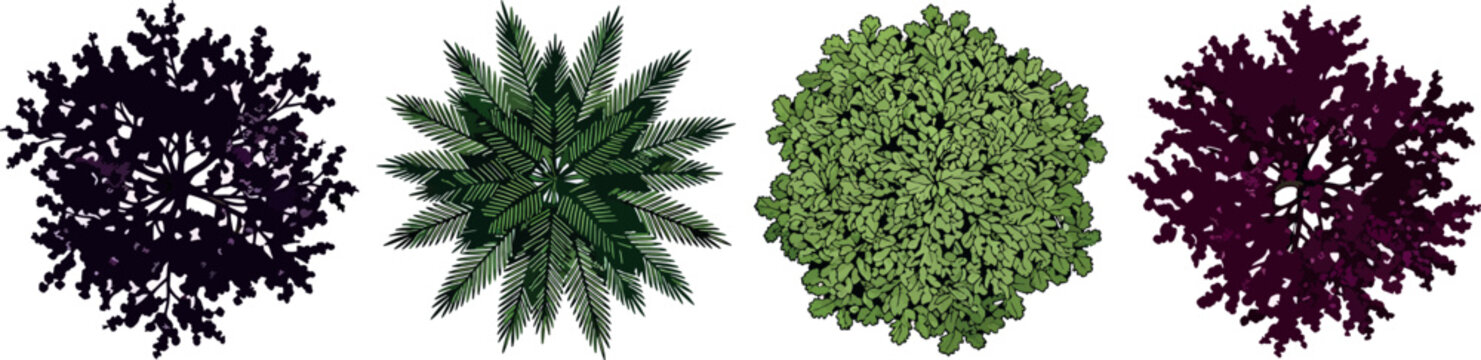 Top view of various trees and shrubs for landscape design transparent background