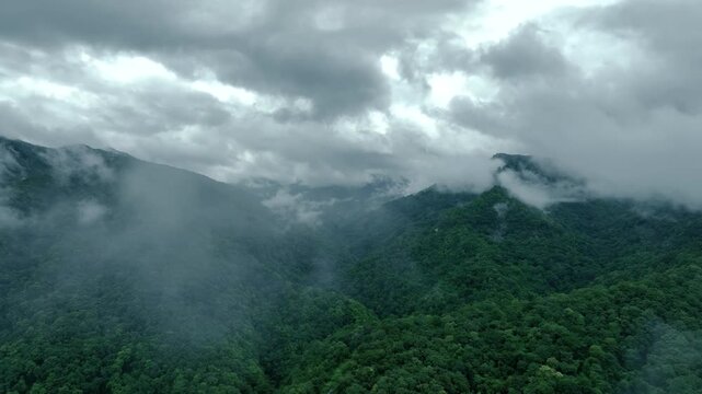 Tropical Foggy Mountains Nature Background for ESG and Eco Tourism Concepts