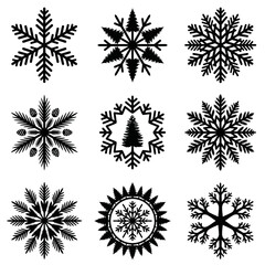 Obraz premium Collection of unique snowflake designs.