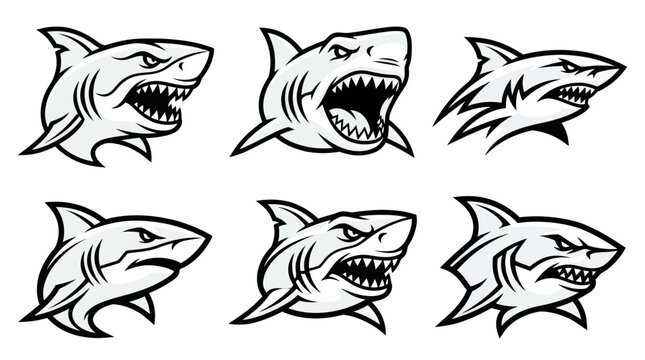 Angry shark head mascot illustrations with open jaws.