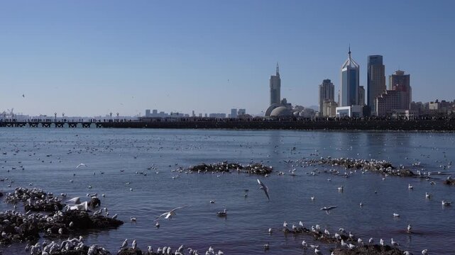 A scenic coastal view featuring a modern city skyline across calm water, with waterfowl resting on rocky outcrops under a clear blue sky.
