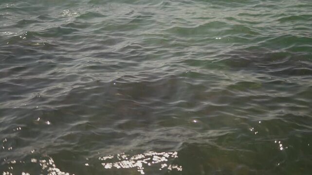 Green ocean water ripples gently near a hotel shoreline