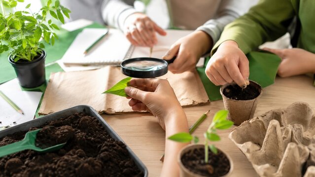 Environmental Education Plant Lesson