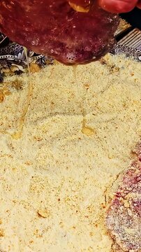 Hand dipping raw steak in egg wash on vintage patterned plate, breaded cutlets coated in crumbs ready for frying, tracking shot vertical video